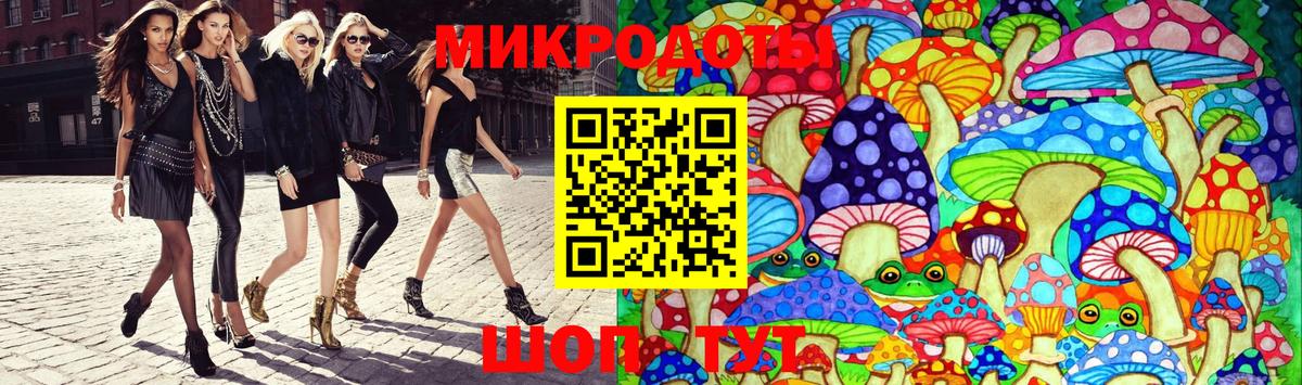 Псилоцибиновые грибы Psilocybine cubensis Гуково